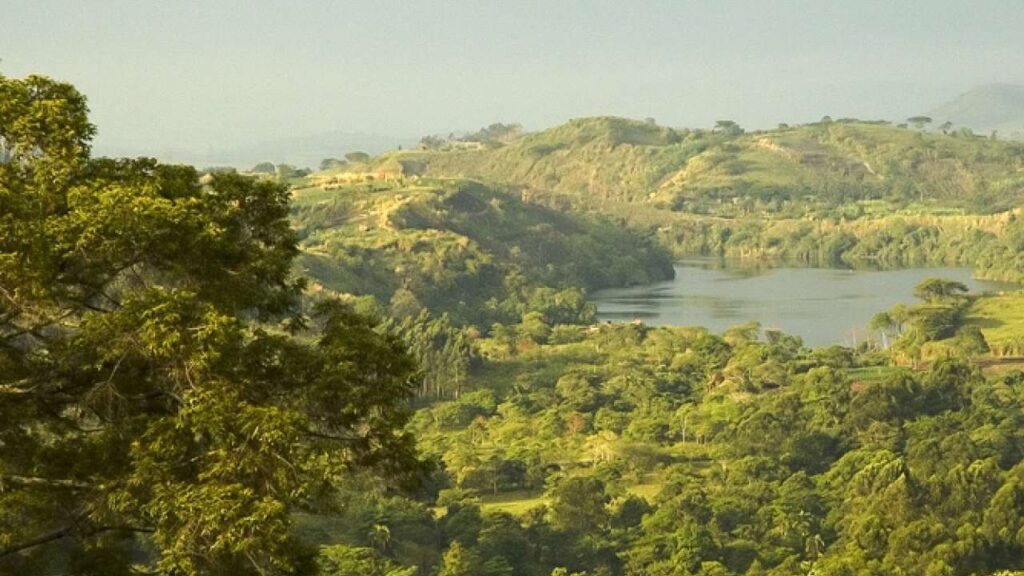Kibale Forest National Park