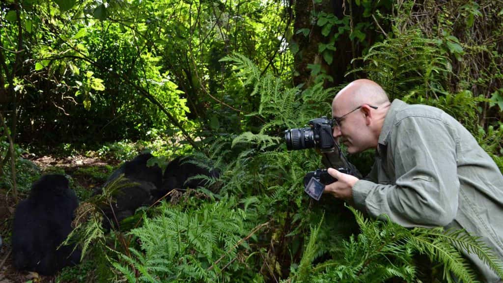Rwanda Gorilla Tracking