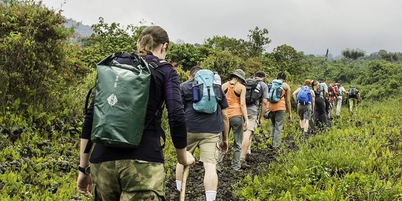 5 Days Congo Gorillas & Nyiragongo Hike Tour