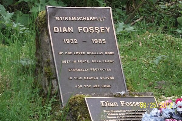 Hiking Dian Fossey Grave, 5 Days Gorilla Trekking and Dian Fossey Hike