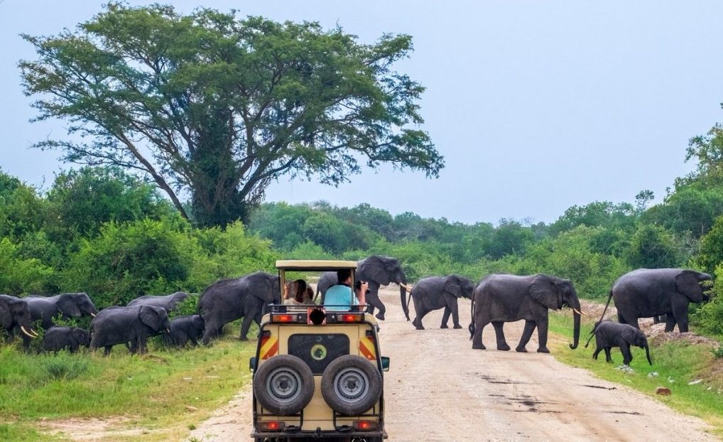 Kidepo Valley National Park