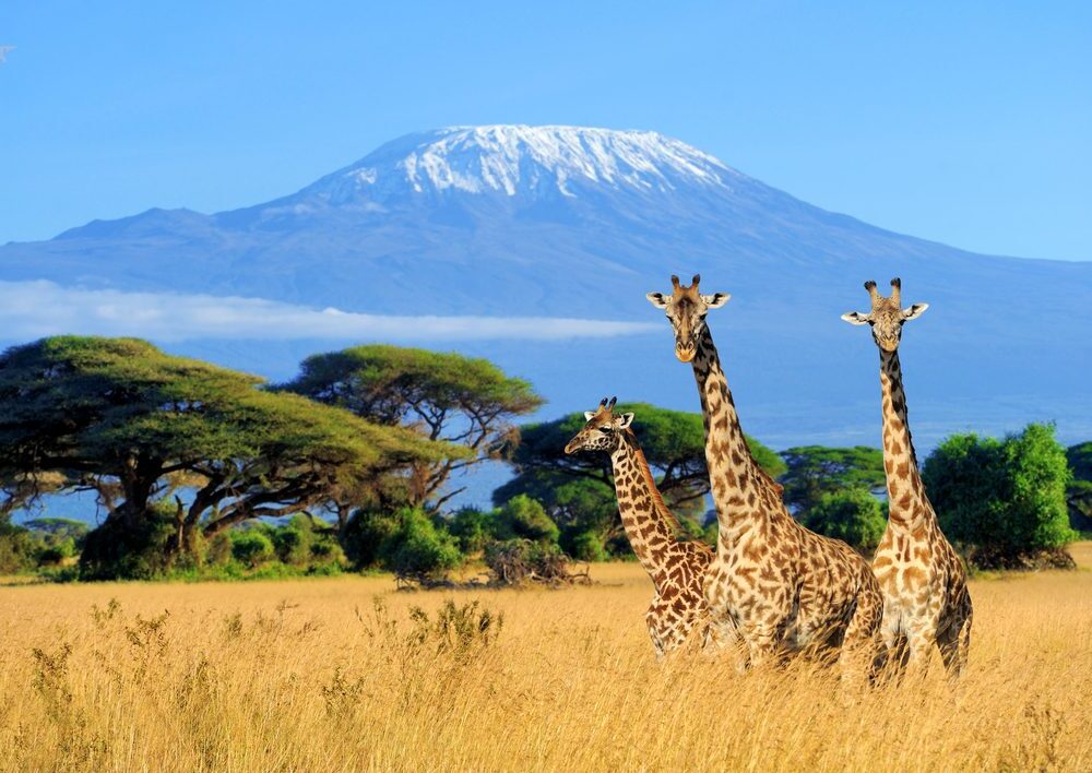 Kilimanjaro National Park