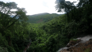 Gishwati Mukura National Park
