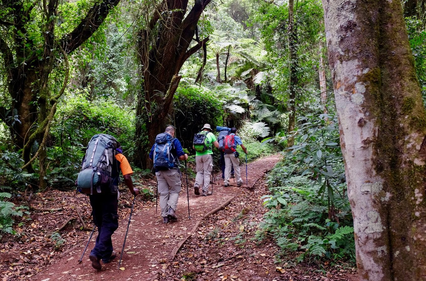 Kilimanjaro National Park