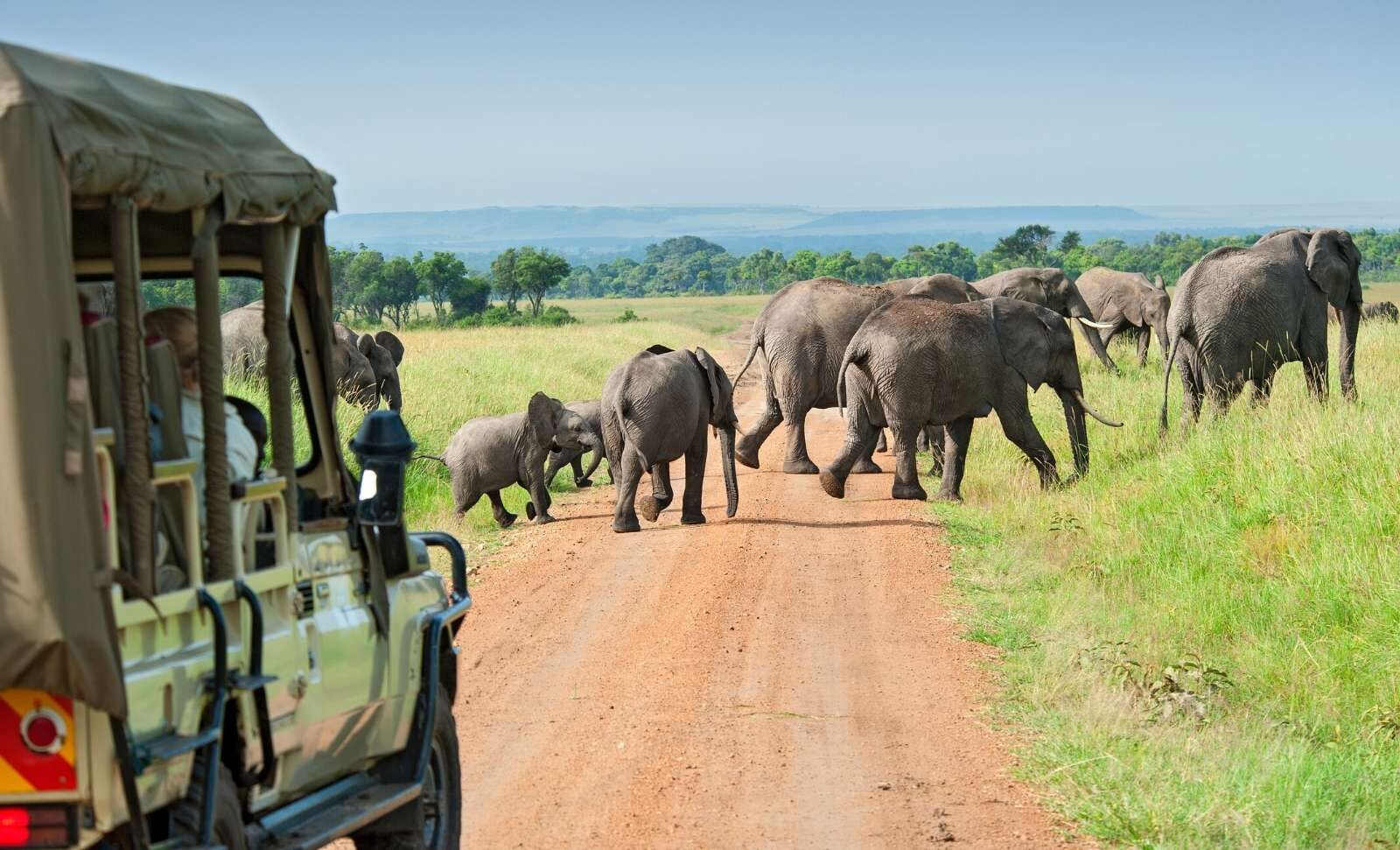 Kidepo Valley National Park