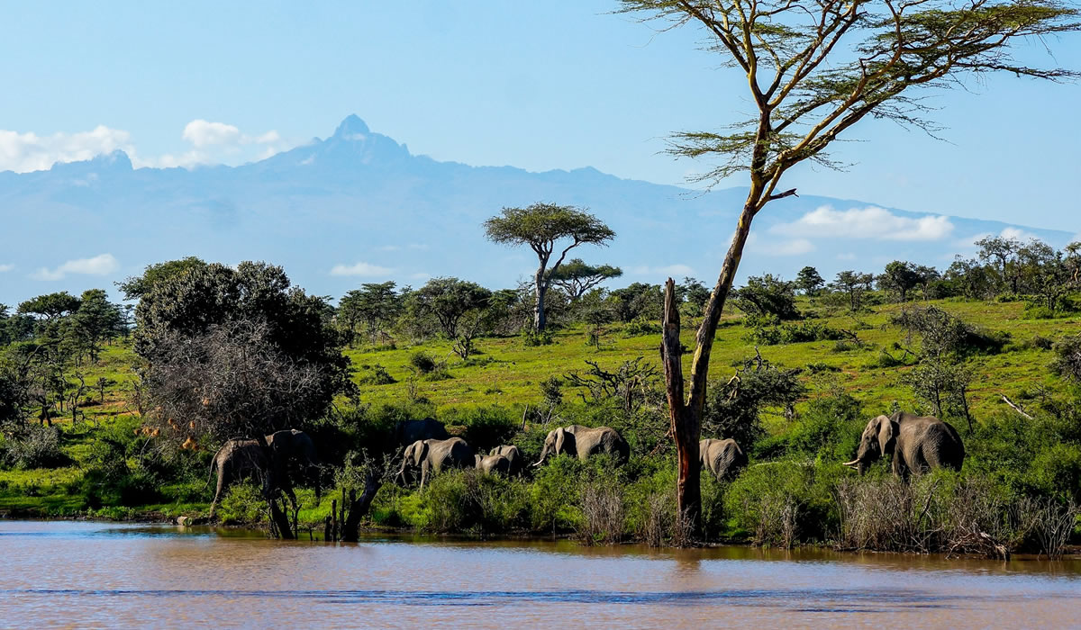 10 Days Kenya Wildlife and Beach Holiday