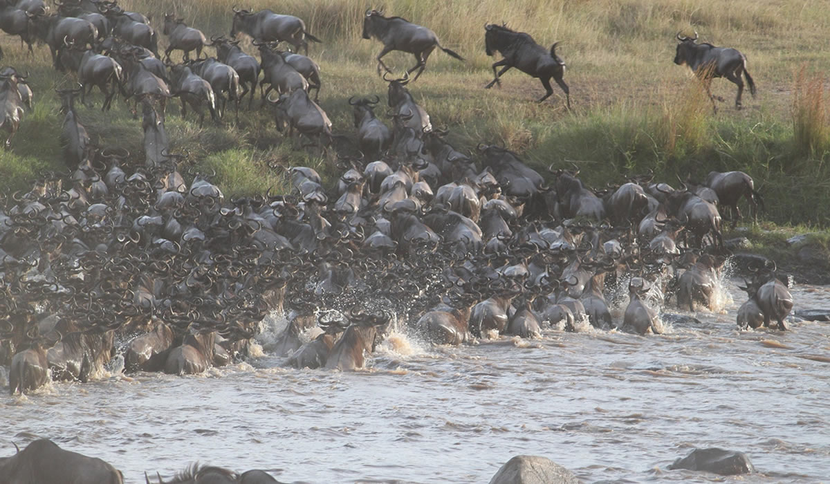 9 Days Kenya Great Migration Safari