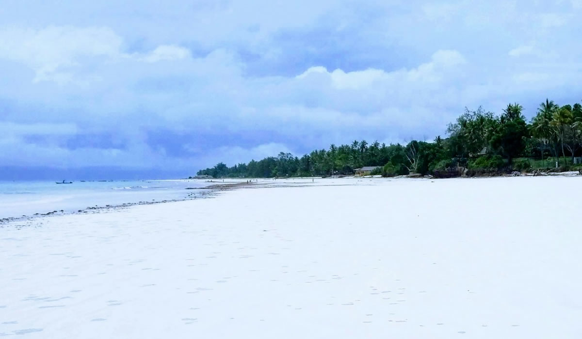 11 Days Kenya Safari and Diani Beach Tour