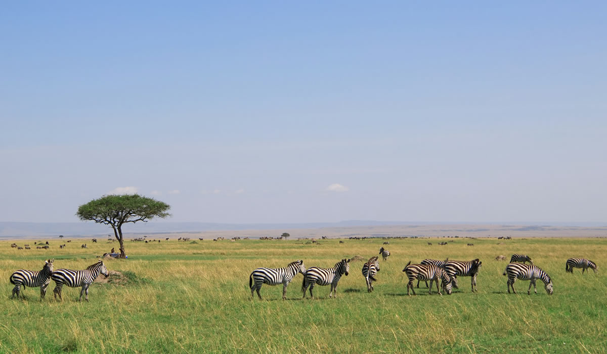 3 Days Maasai Mara Safari Tour