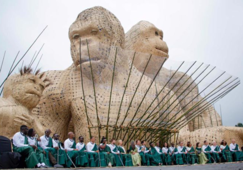 Kwita Izina Rwanda Gorilla Naming Ceremony