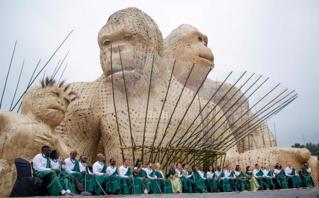 Kwita Izina Rwanda Gorilla Naming Ceremony